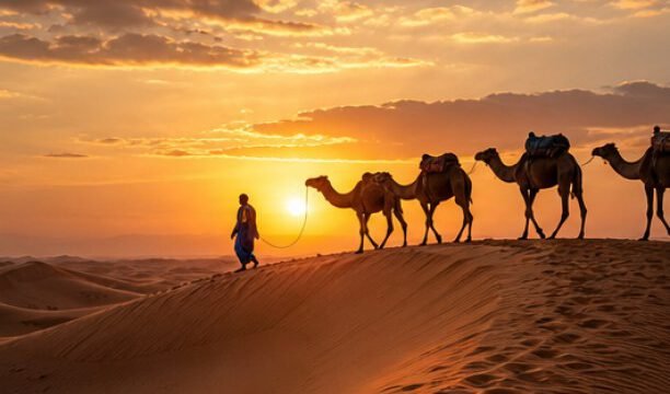 Golden Desert Safari camel trek at sunset