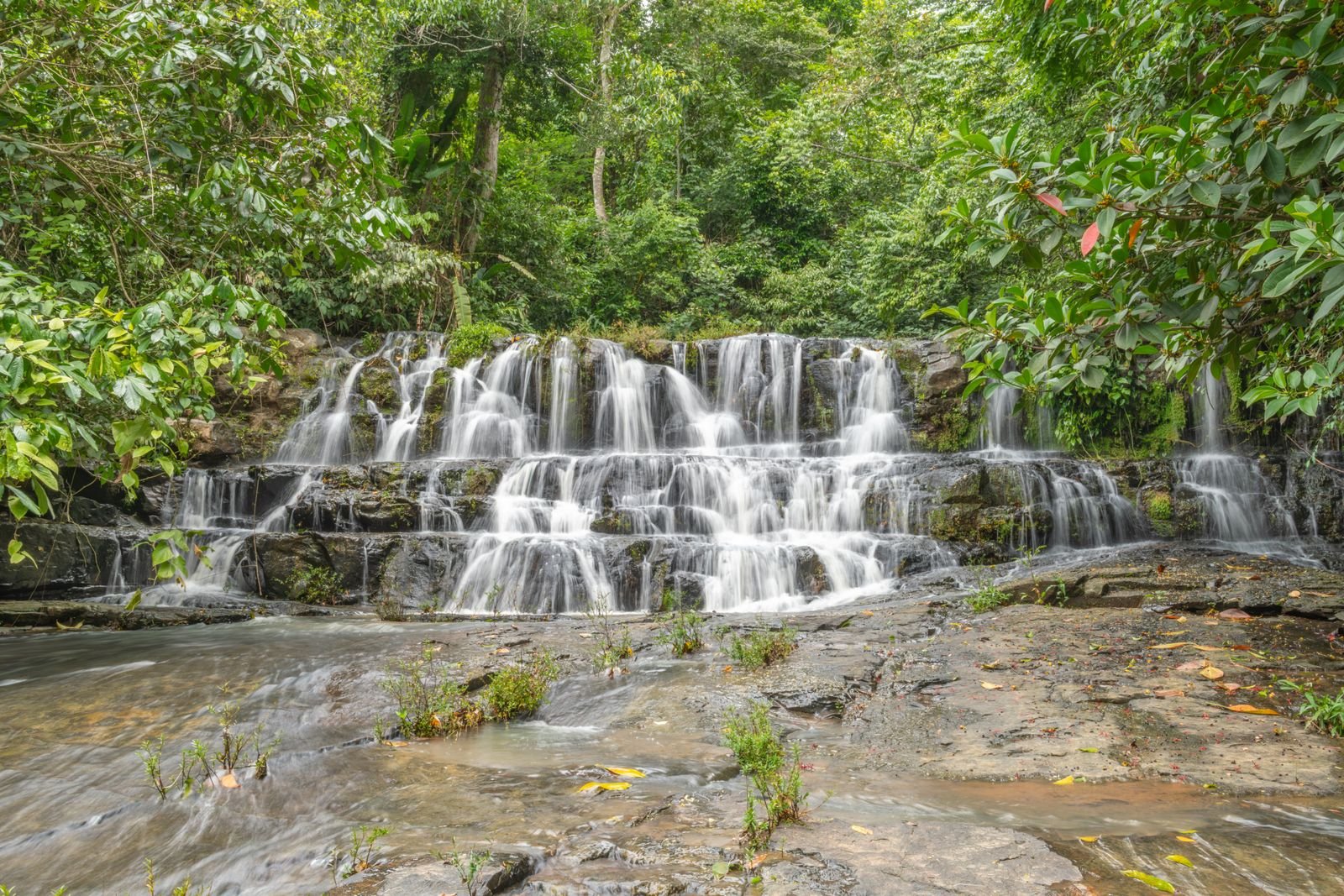 Costa Rica Rainforest Adventure